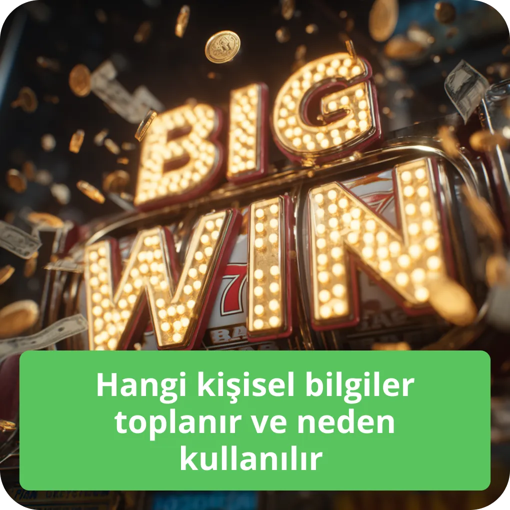 Hangi kişisel bilgiler toplanır ve neden kullanılır