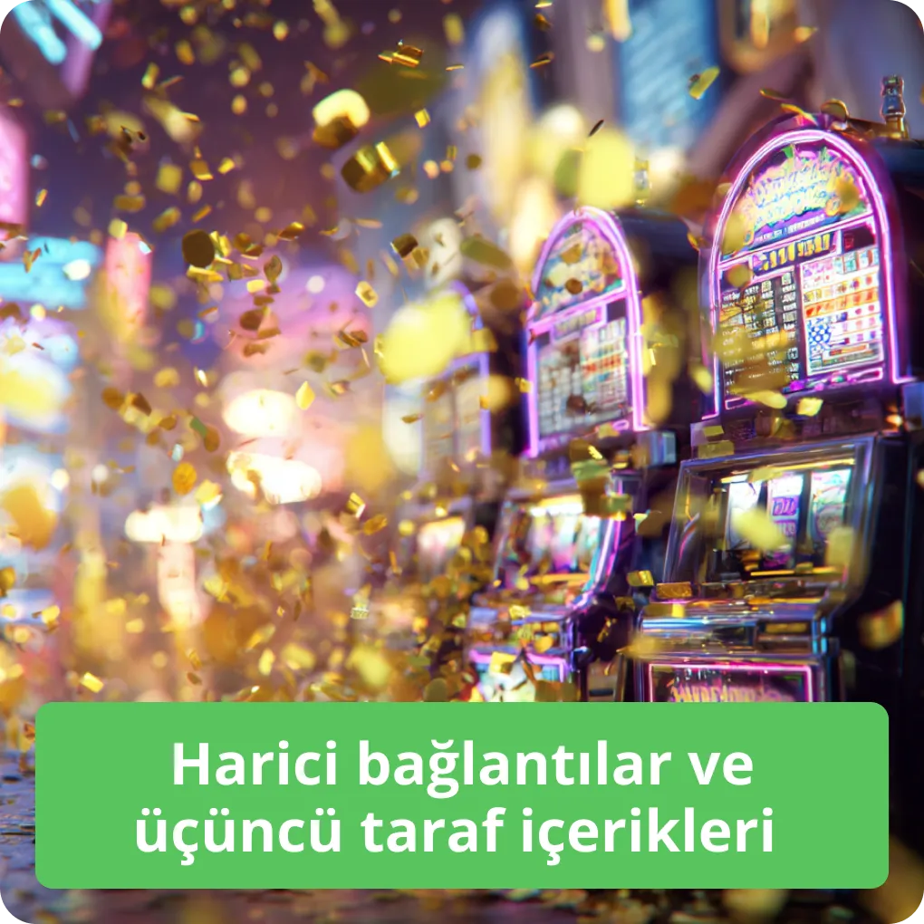 Harici bağlantılar ve üçüncü taraf içerikleri